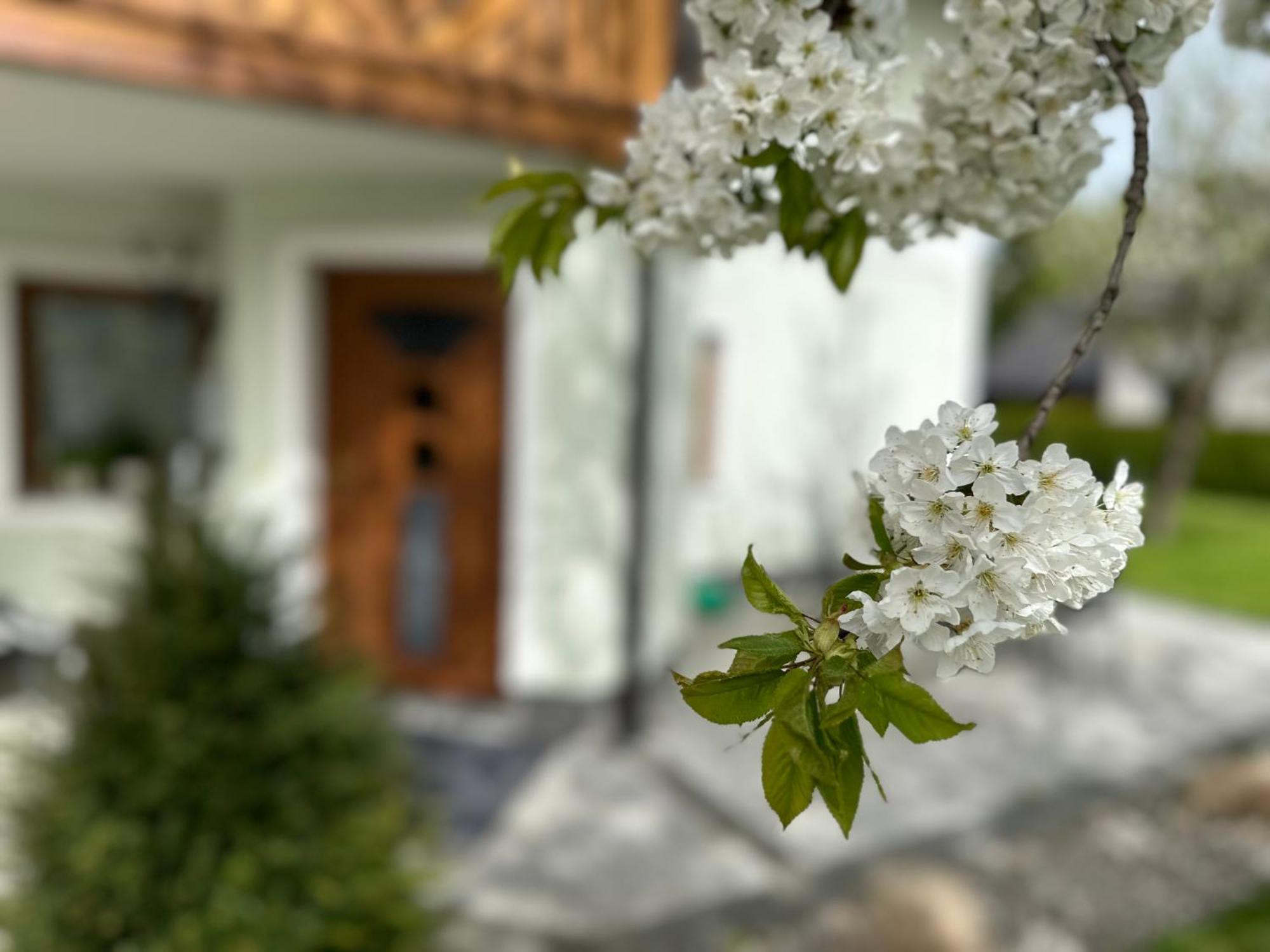 Romantic Chalet - Alpine Getaway Salzkammergut Viechtwang Экстерьер фото